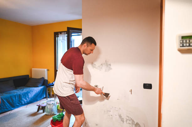 Mold Testing and Removal in Hollywood, FL